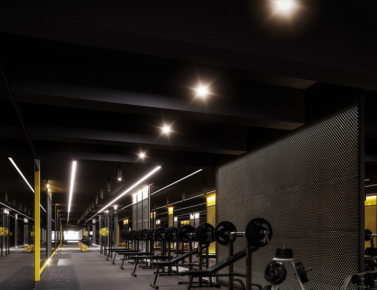 El gimnasio: ¿Creador de músculos... o forjador de carácter?